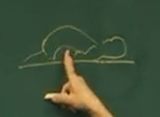 倪师讲金匮要略痉病（脑膜炎）的治疗，瓜蒌桂枝汤，葛根汤，大承气汤